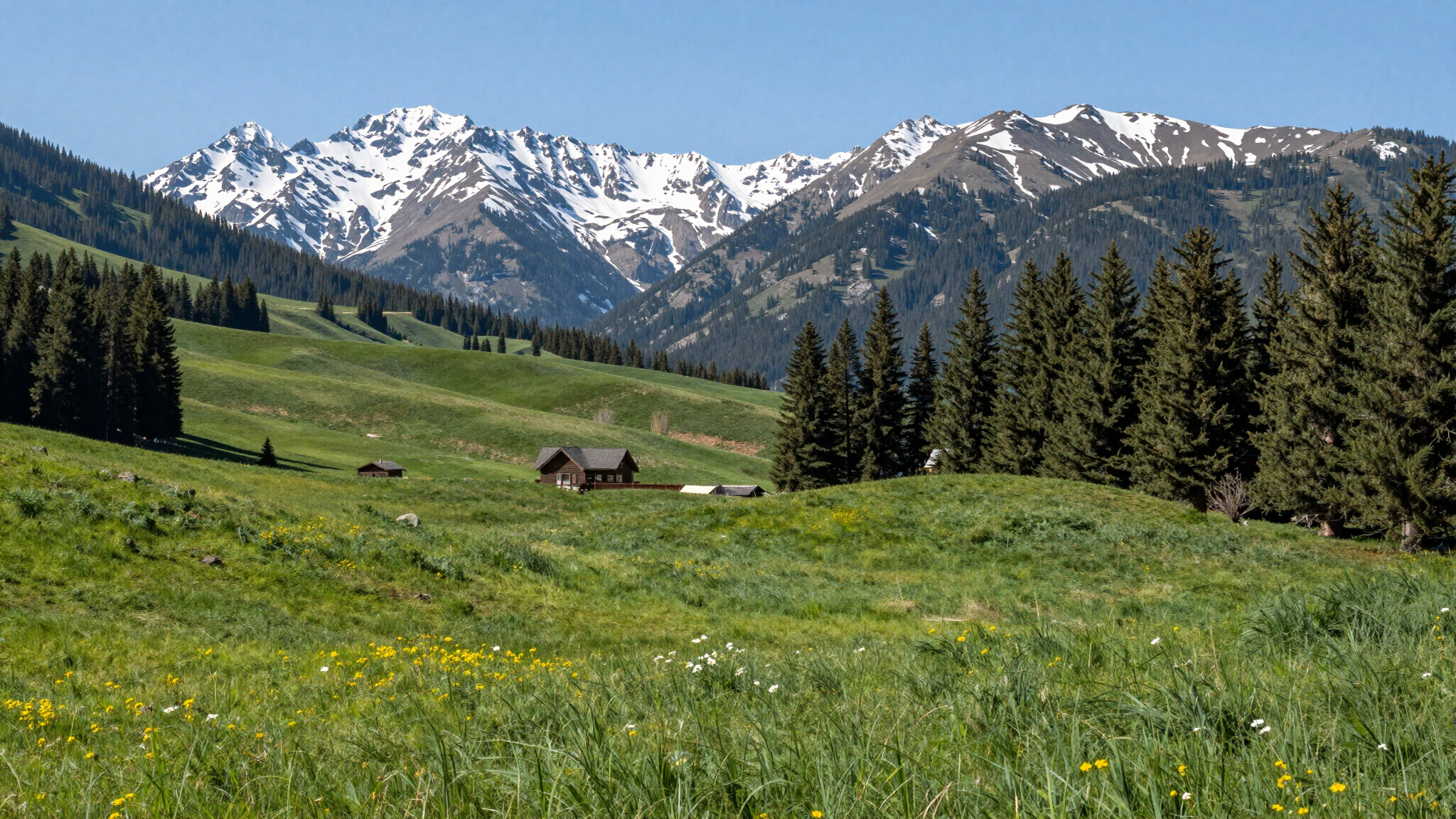 Remote Mountain Acreage